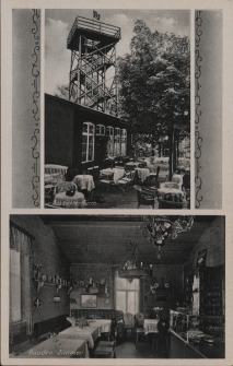 Bad Flinsberg im Isergebirge. Hasensteinbaude [Dokument ikonograficzny]