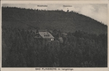Bad Flinsberg im Isergebirge. [Dokument ikonograficzny]