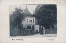 Bad Flinsberg. Oberbrunnen [Dokument ikonograficzny]