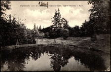 Parkmotiv von Dr. E. Schulz Sanatorium, Schreiberhau i. Rsgb. [Dokument ikonograficzny]