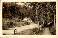 Im schönen Queistal, An der Hagenmühle [Dokument ikonograficzny]