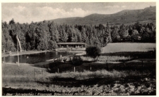 Ober-Schreiberhau i. Riesengeb. Schwimmbad Heinzelbaude mit Schneegrubenmassiv [Dokument ikonograficzny]