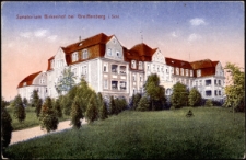 Sanatorium Birkenhof bei Greiffenberg i. Schl. [Dokument ikonograficzny]
