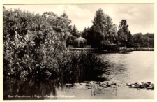 Bad Warmbrunn i. Rsgb. - Partie im. Füllnerpark [Dokument ikonograficzny]