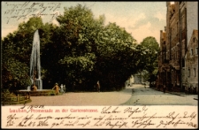 Lauban. Promenade an der Gartenstrasse. [Dokument ikonograficzny]