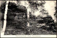 Bad-Schwarzbach i. Isgb., Herkulesfelsen [Dokument ikonograficzny]