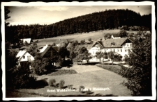 Hotel Waldmühle - Hain i. Riesengeb. [Dokument ikonograficzny]