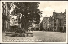 Hirschberg im Riesengebirge. Markt mit Neptunbrunnen [Dokument ikonograficzny]