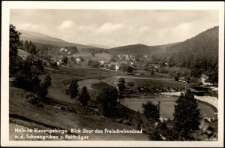 Hain im Riesengebirge. Blick über das Freischwimmbad n. d. Schneegruben u. Reifträger [Dokument ikonograficzny]