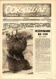 Odrodzenie : tygodnik publicystyczny NSZZ "Solidarność", 1981, nr 17