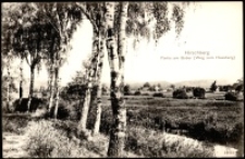 Jelenia Góra - nad Bobrem, droga na Wzgórze Krzywoustego [Dokument ikonograficzny]