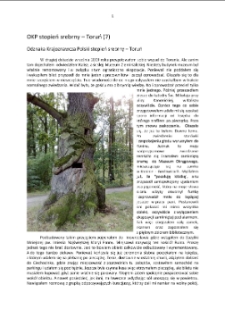 Odznaka Krajoznawcza Polski stopień srebrny – Toruń (7) [Dokument elektroniczny]