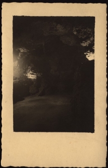 Skały [Dokument ikonograficzny]