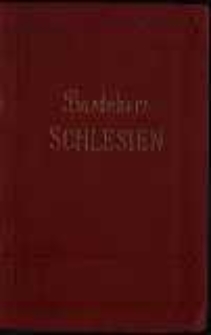 Schlesien : Riesengebirge : Grafschaft Glatz : Reisehandbuch