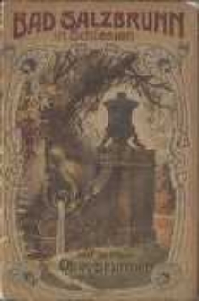 Bad Salzbrunn in Schlesien 1904 : Nachweis über Kur - und Orts-Verhältnisse