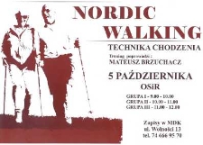 Nordic Walking. Technika chodzenia